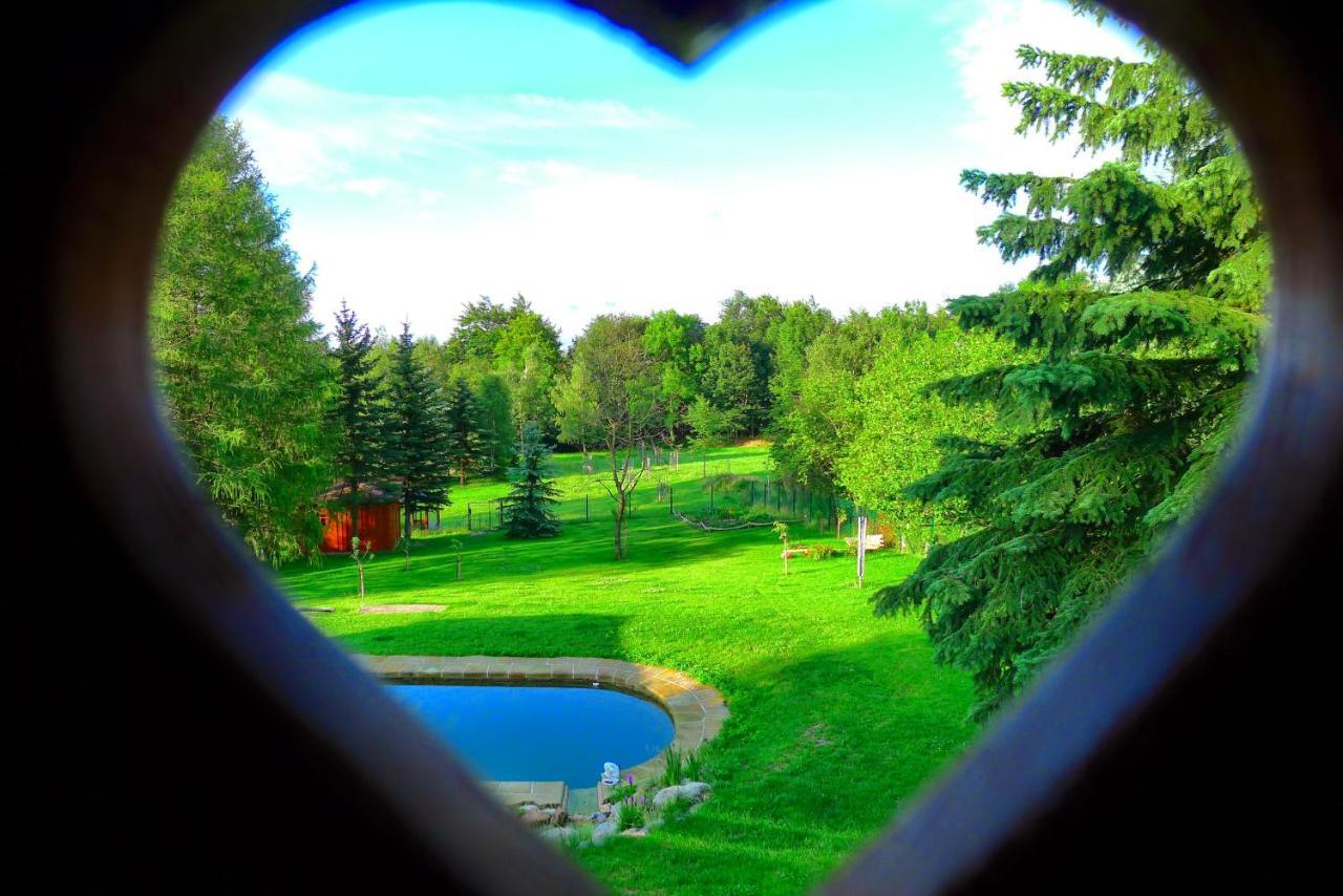 Guest House Sneznik