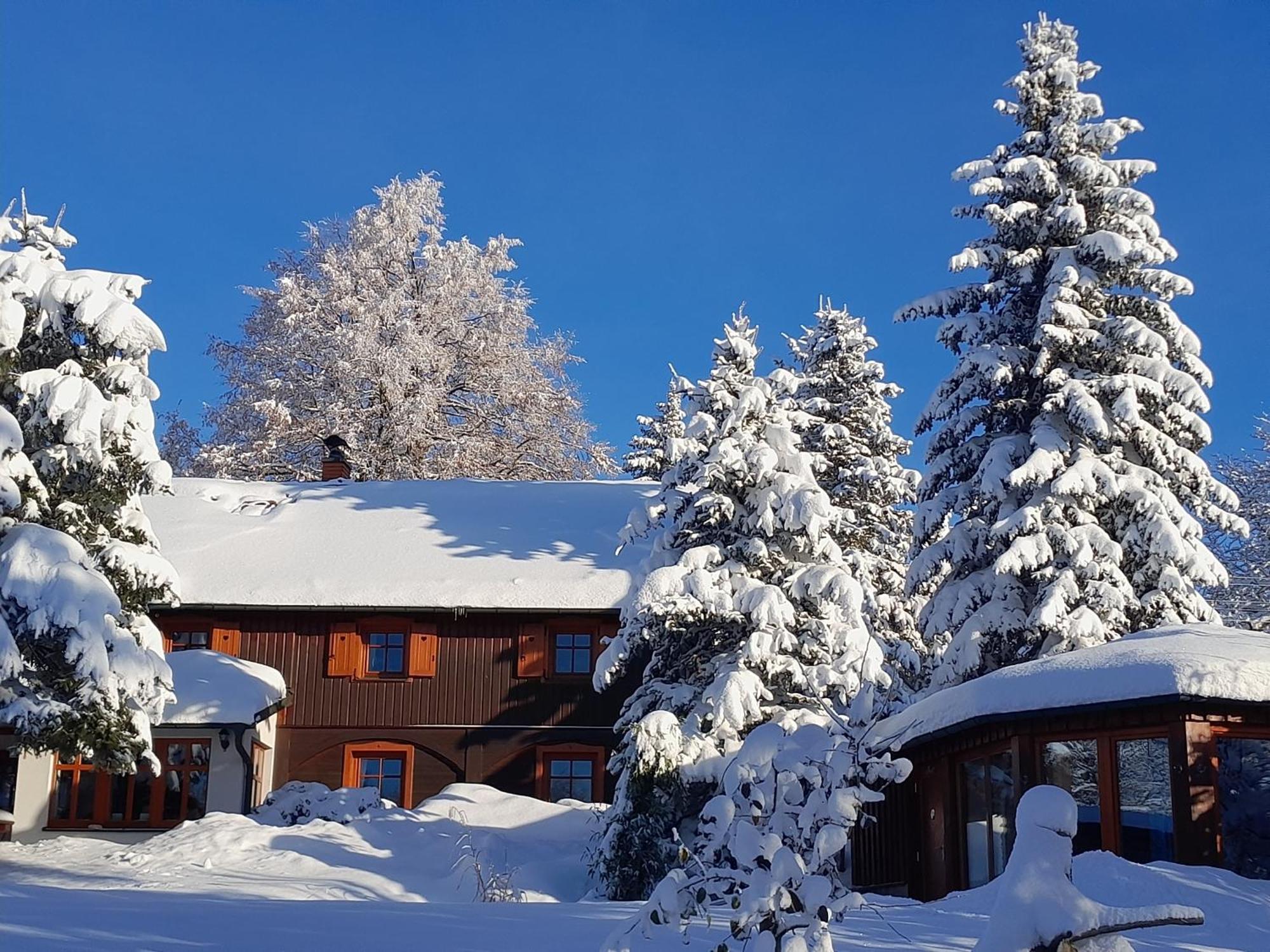 Guest House Sneznik